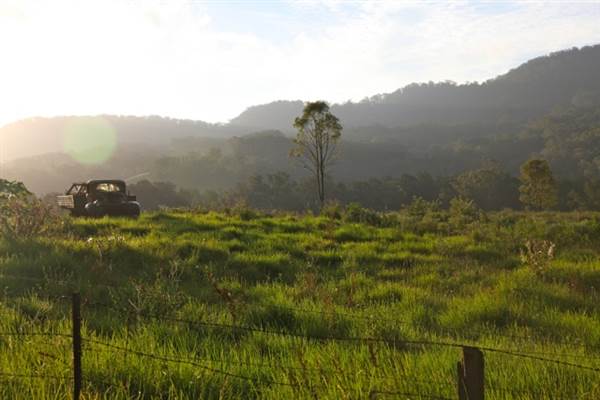 Kangaroo valley (28/11/2013)