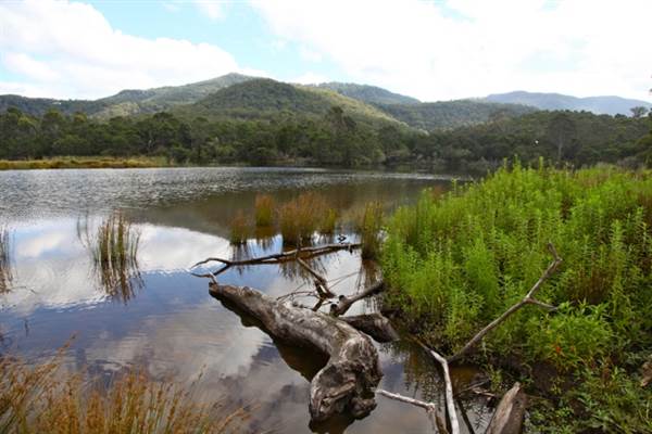 Kangaroo valley (28/11/2013)