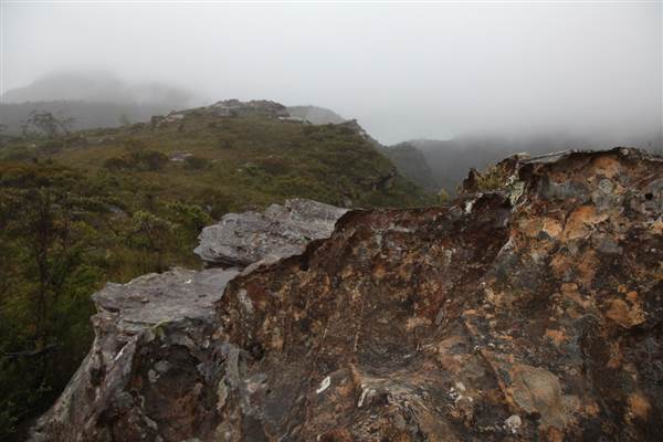 Mt Banks (28/11/2013)