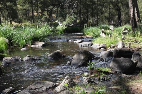 Coxs River - Glenroy Cabins and Camp Ground - Canon 5D (13/12/2012 - Credits: Luke Torrevillas)