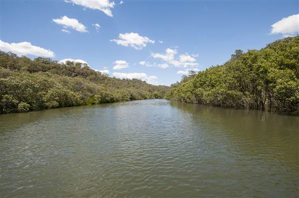 Georges River (5/12/2013)