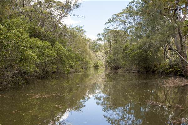 Georges River (5/12/2013)
