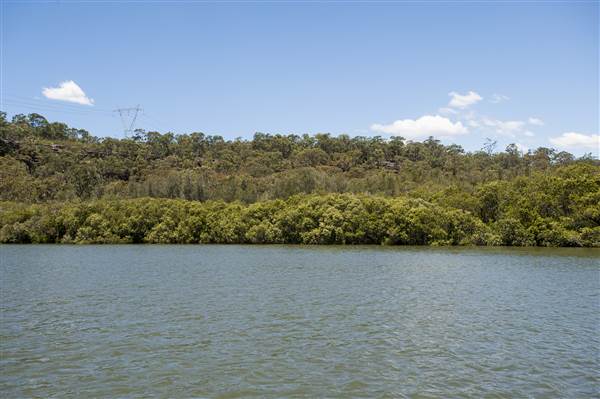 Georges River (5/12/2013)