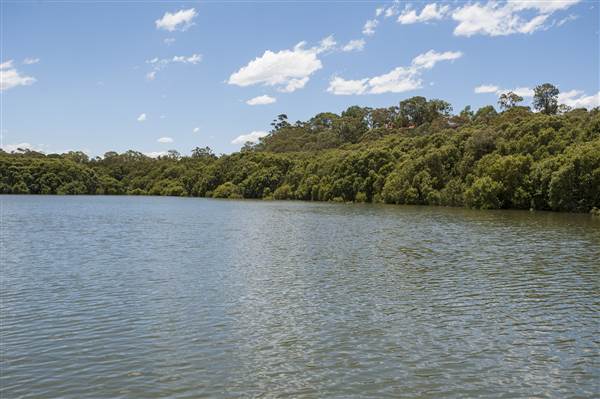 Georges River (5/12/2013)