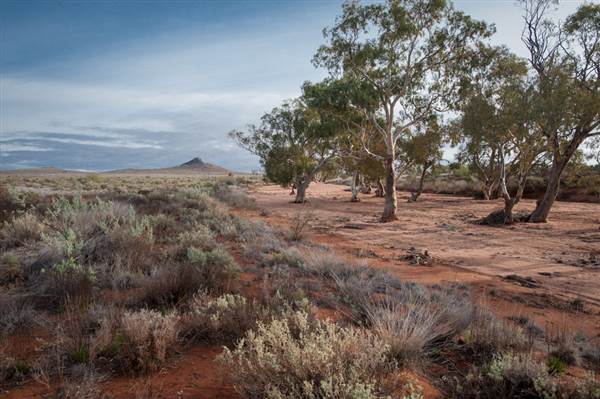 Pinnacles - Broken Hill (6/06/2013 - Credits: Colin McDougall)
