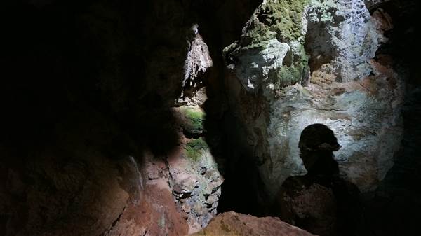 Jenolan Caves (9/06/2014 - Credits: Mary Barltrop)