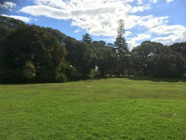 Centennial Park (25/06/2014)
