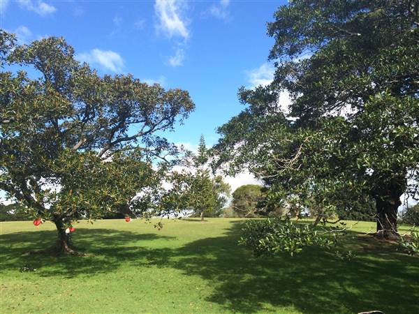 Centennial Park (25/06/2014)