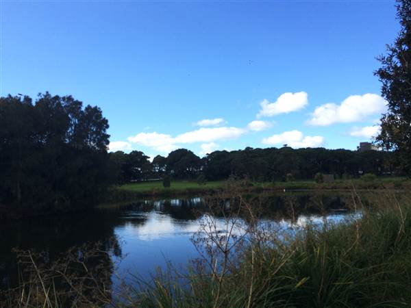 Centennial Park (25/06/2014)