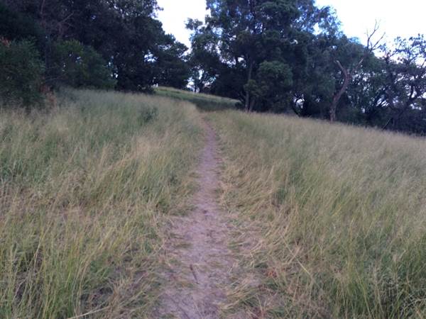 Centennial Park (25/06/2014)