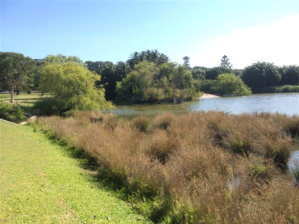 Centennial Park (25/06/2014)