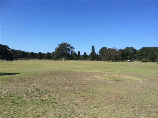 Centennial Park (25/06/2014)