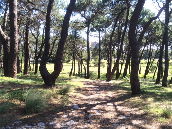 Centennial Park (25/06/2014)