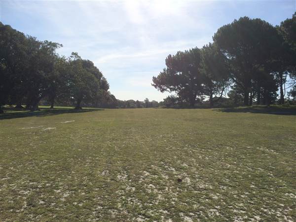 Centennial Park (26/06/2014)