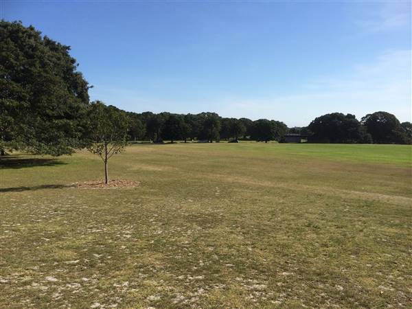 Centennial Park (26/06/2014)