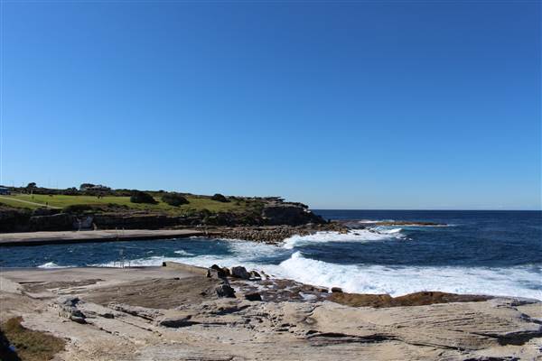 Clovelly Beach (7/07/2014)