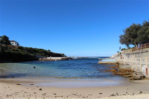 Clovelly Beach (7/07/2014)