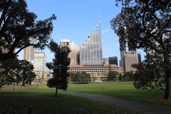 The Domain - Royal Botanic Garden Sydney (24/10/2014)