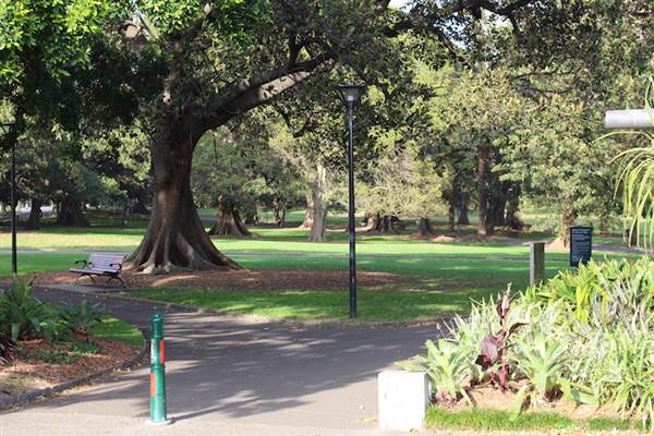 The Domain - Royal Botanic Garden Sydney (24/10/2014)