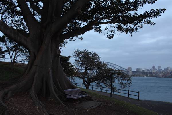 Mrs. Macquarie's Point - Royal Botanic Garden Sydney (24/10/2014)