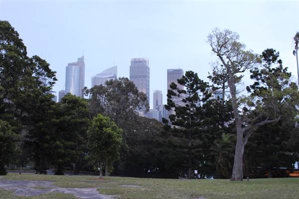Mrs. Macquarie's Point - Royal Botanic Garden Sydney (24/10/2014)