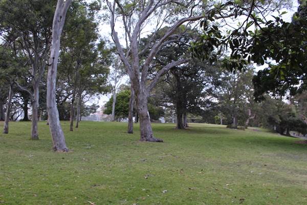 Mrs. Macquarie's Point - Royal Botanic Garden Sydney (24/10/2014)