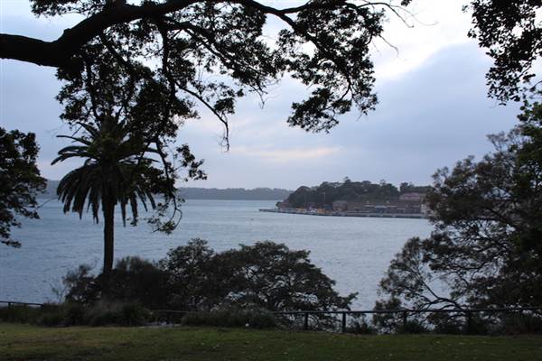 Mrs. Macquarie's Point - Royal Botanic Garden Sydney (24/10/2014)