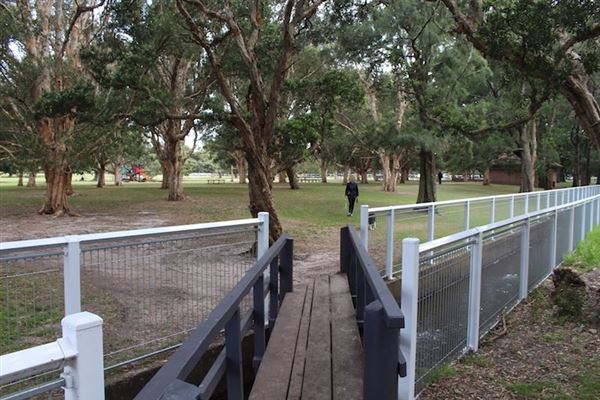 Centennial Park - Ash Paddock (24/10/2014)