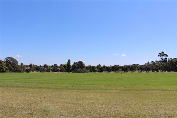 Centennial Park - Brazilian Fields (24/10/2014)
