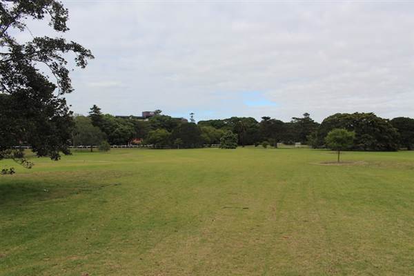 Centennial Park - Church Grounds (24/10/2014)
