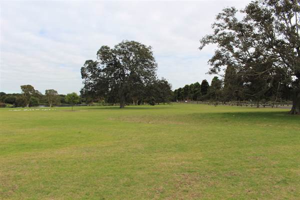 Centennial Park - Church Grounds (24/10/2014)