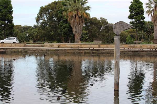 Centennial Park - Duck Pond (24/10/2014)