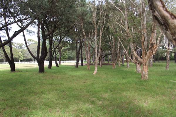 Centennial Park - Equestrian Grounds (24/10/2014)