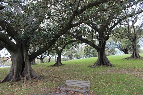 Centennial Park - Mount Steel (24/10/2014)
