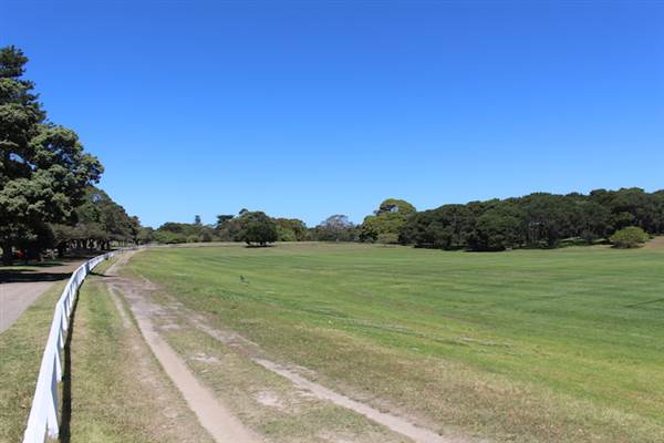 Centennial Park - Parade Grounds (24/10/2014)