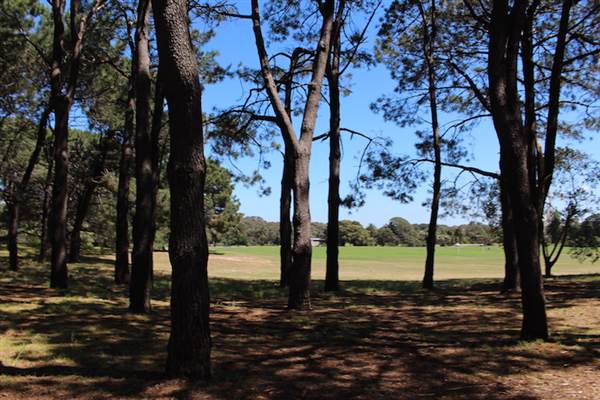 Centennial Park - Pine Grove (24/10/2014)