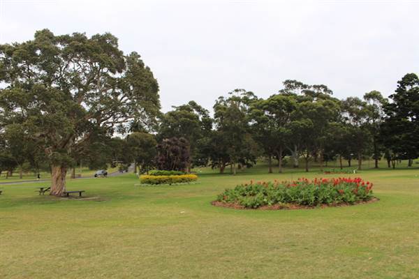 Centennial Park - Frog Hollow (24/10/2014)