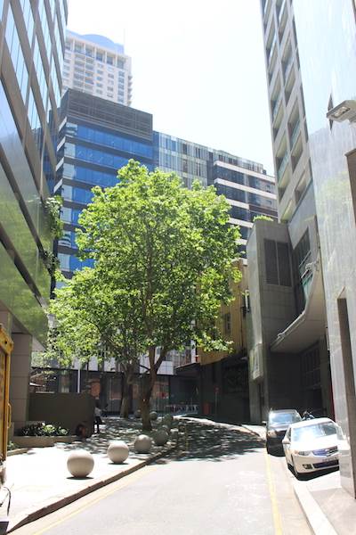52 Goulburn Street (24/10/2014)