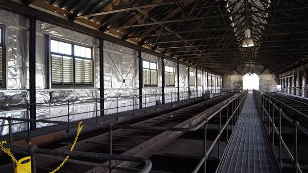 West Ryde Boiler House (29/10/2014 - Credits: Cynthia Meyer)
