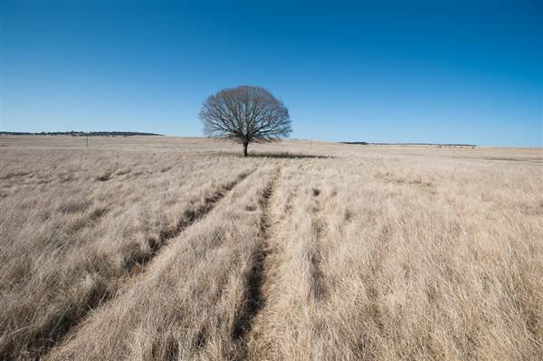Goulburn Area (14/11/2014 - Credits: Colin McDougall)