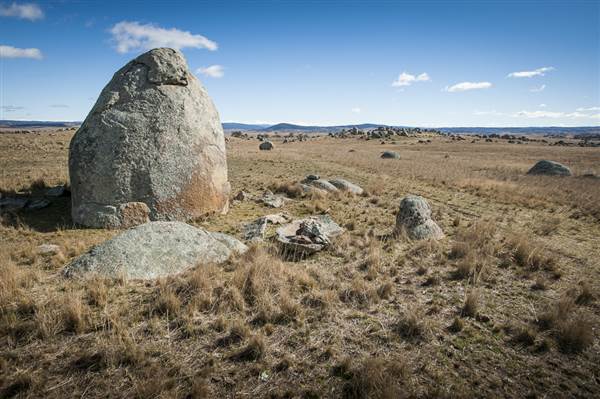 Monaro Plains (14/11/2014 - Credits: Colin McDougall)
