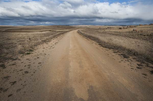Monaro Plains (14/11/2014 - Credits: Colin McDougall)