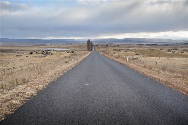 Monaro Plains (14/11/2014 - Credits: Colin McDougall)
