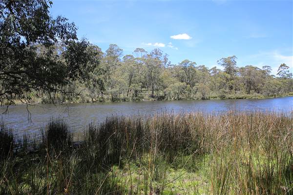 Paddy's River Dam - Paddy's River Dam is inside the Bago State Forrest. It is accessible by 2WD and has large camping areas for tents and caravans. All photos taken along the Roads into Paddy's River Dam and the Walk-ways surrounding the dam. (16/12/2014 - Credits: Eastern Riverina Arts)