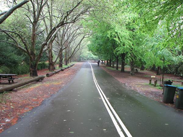 Mount Wilson Roads (24/02/2015 - Credits: Phillip Roope)