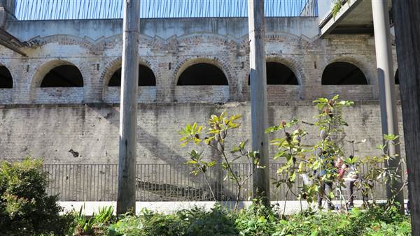 Paddington Reservoir Gardens (24/02/2015 - Credits: Phillip Roope)