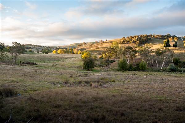 Crookwell (12/03/2015)
