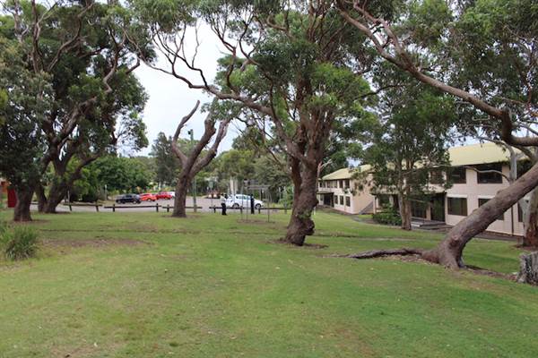 Headland Park - Middle Head (13/03/2015)