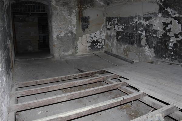 Middle Head Fortifications (13/03/2015)