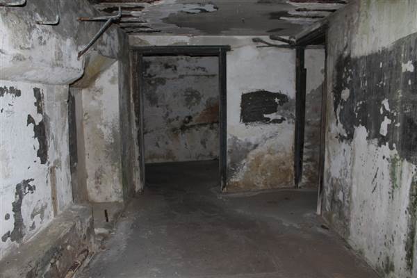 Middle Head Fortifications (13/03/2015)